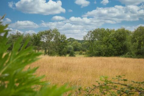 Countryside Views