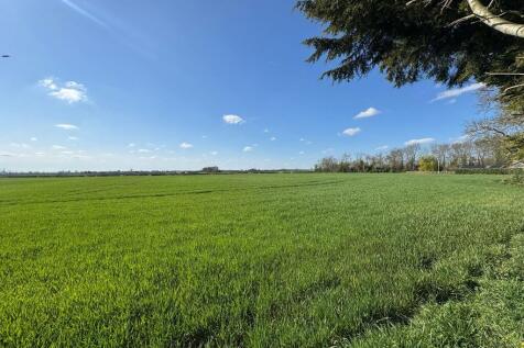 IMG-20250402-WA00...