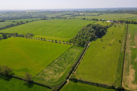 DJI_0812