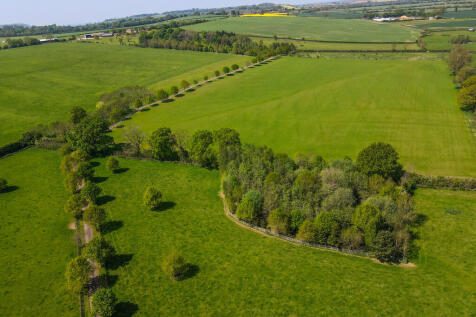 DJI_0833