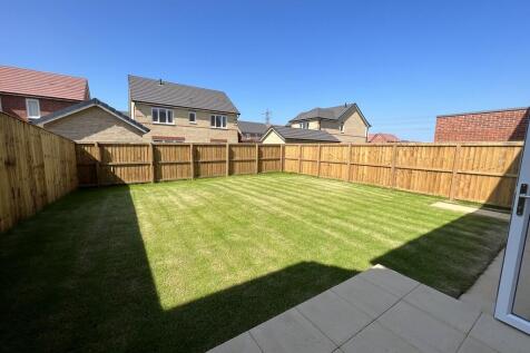 Back Garden