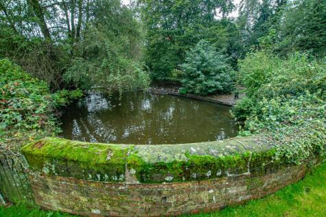 DSC_9678.jpg