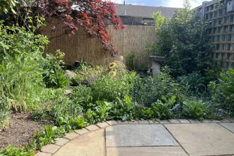 garden2.jpg