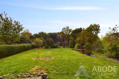 CAM02696G0-PR0418-STILL015.jpg
