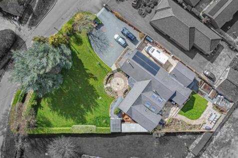 DJI_0077.jpg
