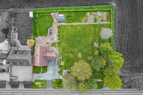 DJI_0126.jpg