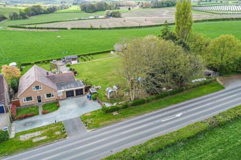 DJI_0132.jpg