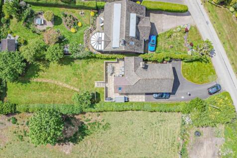 DJI_0202.jpg
