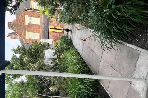 IMG_1597.jpeg