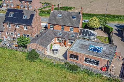 DJI_0217.jpg