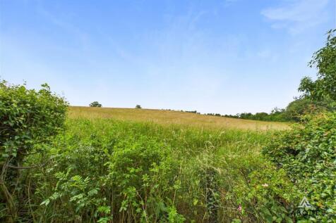 CAM02696G0-PR0646-STILL006.jpg
