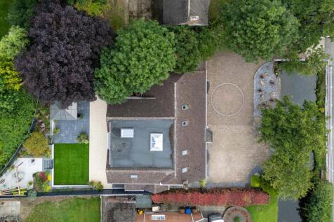 DJI_0738.jpg