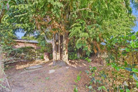 CAM04913G0-PR0090-STILL027.jpg