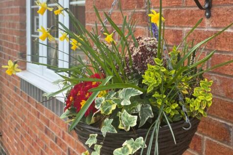 Appledore Slider 1.jpg