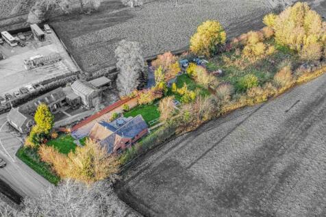 dji_fly_20251119_150624_876_1763742410851_photo_op