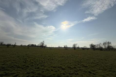 IMG_0295.JPEG