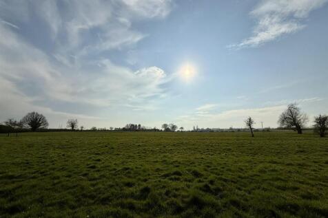 IMG_0297.JPEG