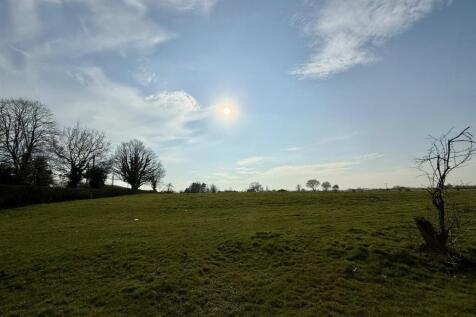 IMG_0298.JPEG