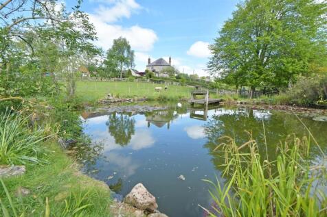 Paddock &amp; Pond (9).JPG