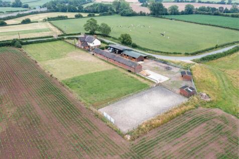 Sunnyside Farm-56.jpg