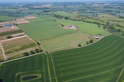DJI_0239.jpg