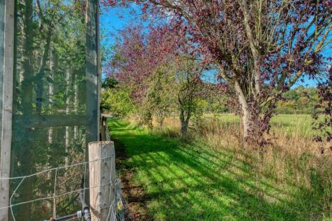 P1168205_hdr.jpg