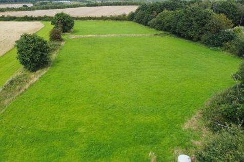 Additional field 3.jpg