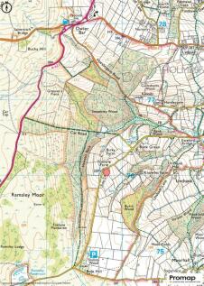 Promap-2519645-2624983-1100-0.jpg