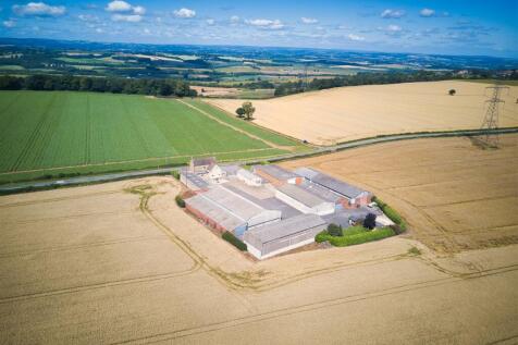P_WILDGOOSE_1_MAVIC_16_EDITED.jpeg