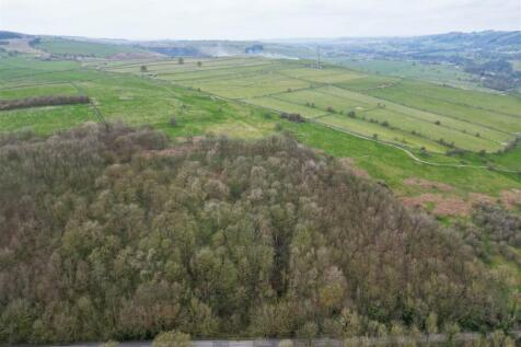 DJI_0557.JPG
