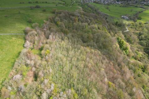 DJI_0632.JPG