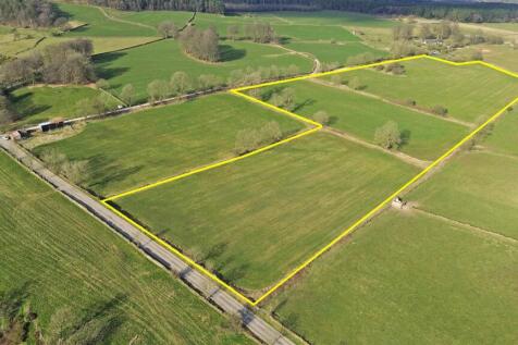 Yellow Boundary 1.jpg