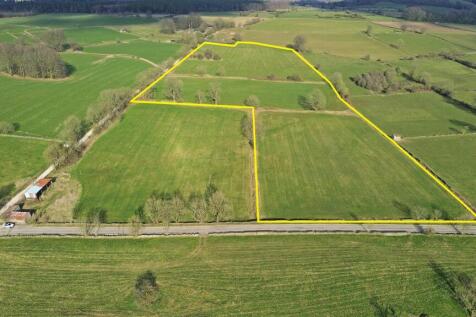 Yellow Boundary 2.jpg