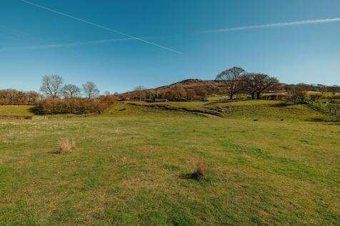20250401-1146181100-Mum-Bungalow-Field.jpg