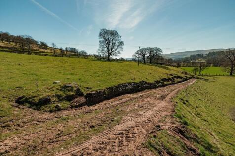 20250401-1149453400-Mum-Bungalow-Field.jpg