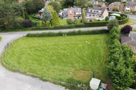 DJI_0041.jpg