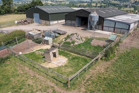 St-Martins-Farm-25.jpg