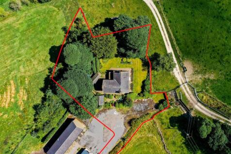Hall Hill Farm-85.jpg