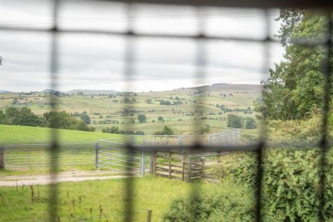 Hall Hill Farm-48.jpg