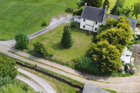 DJI_0350.jpg