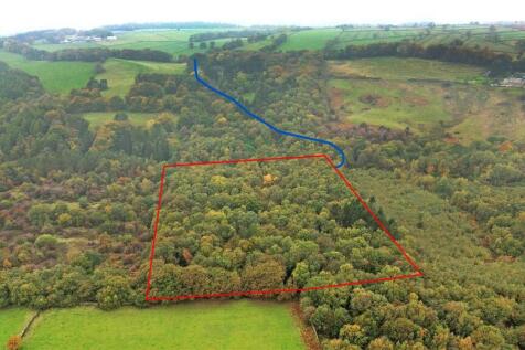 Boundary Line w row.jpg