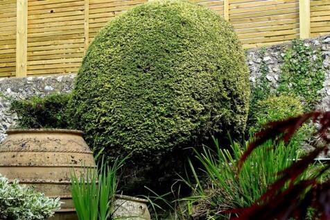 Property Image 31