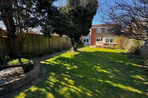 Garden (4)