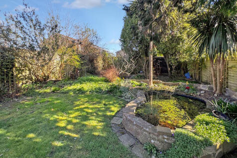 Garden (3)