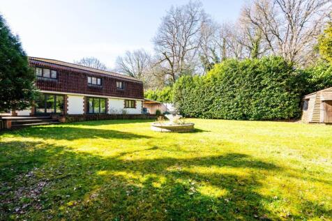 Property Image 13