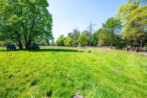 Property Image 69