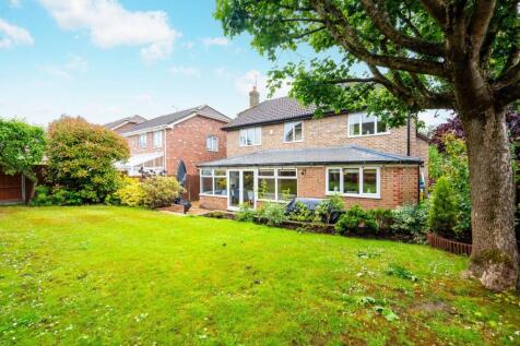 Property Image 33