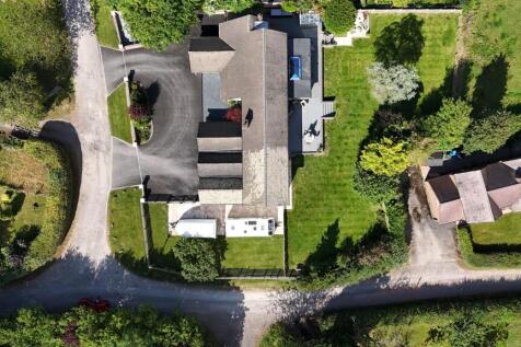 Birds Eye View