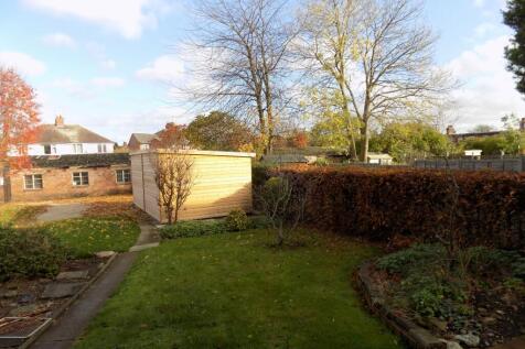 Back garden