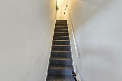 staius_114508 (1)